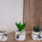 Illusione Apartment *