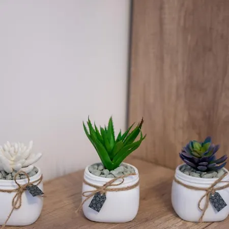 Illusione Apartamento *