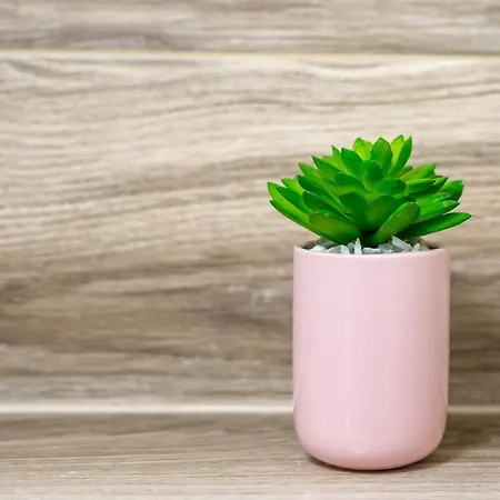 Illusione Apartamento *