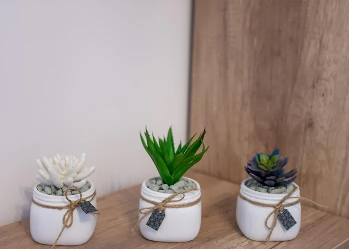 Illusione Apartment *