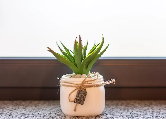 Illusione 波别罗沃